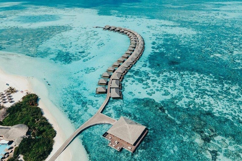 cocoon maldives