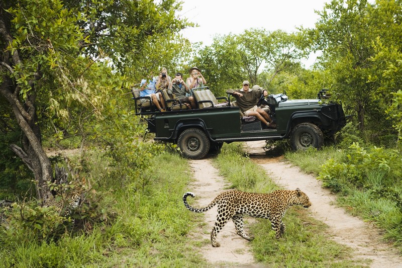 safari cruise south africa