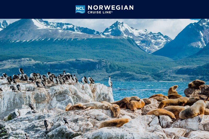 antarctica cruise with ncl