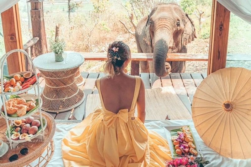 experience elephant’s world in thailand